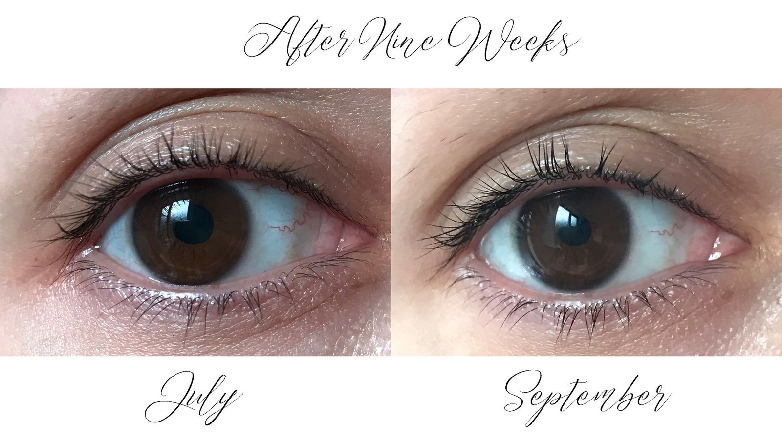 Maybelline Lash Sensational Boosting Serum Review - Before and After Photos