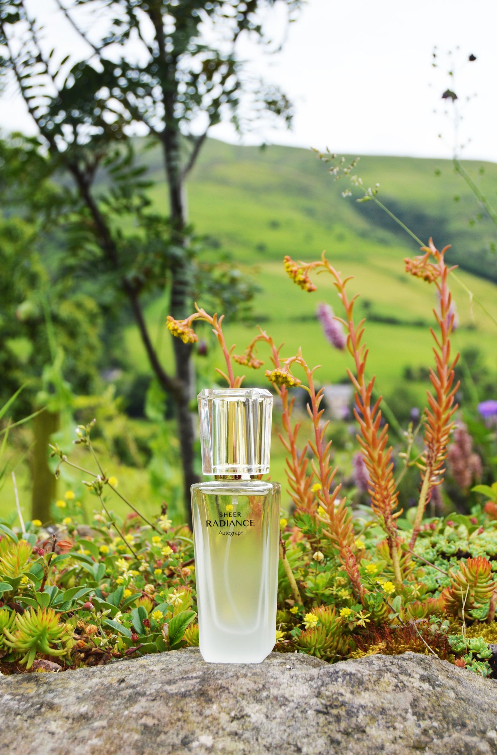 Autograph Sheer Radiance is a delicate, fruity fragrance with a hint of floral. It is lightweight and it is perfect for Summer as it is not overpowering.